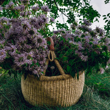 Load image into Gallery viewer, Bee Balm-Dried (2 oz.)