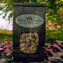 Load image into Gallery viewer, Bee Balm-Dried (2 oz.)