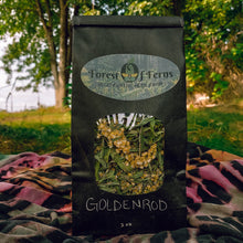 Load image into Gallery viewer, Goldenrod-Dried (2 oz.)